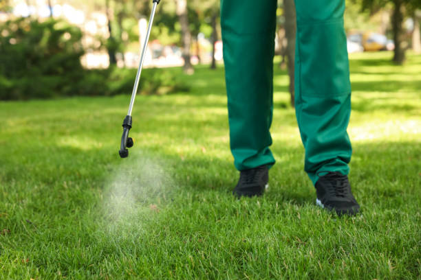 Wildlife Control Services in Albion, NY